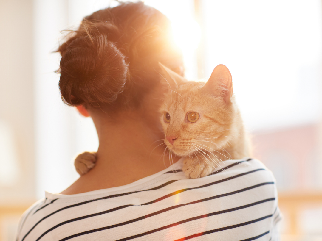 Your Pet Deserves These Simple Daily Care Habits