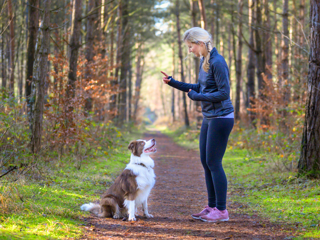 What Your Pet Wishes You Knew About Them