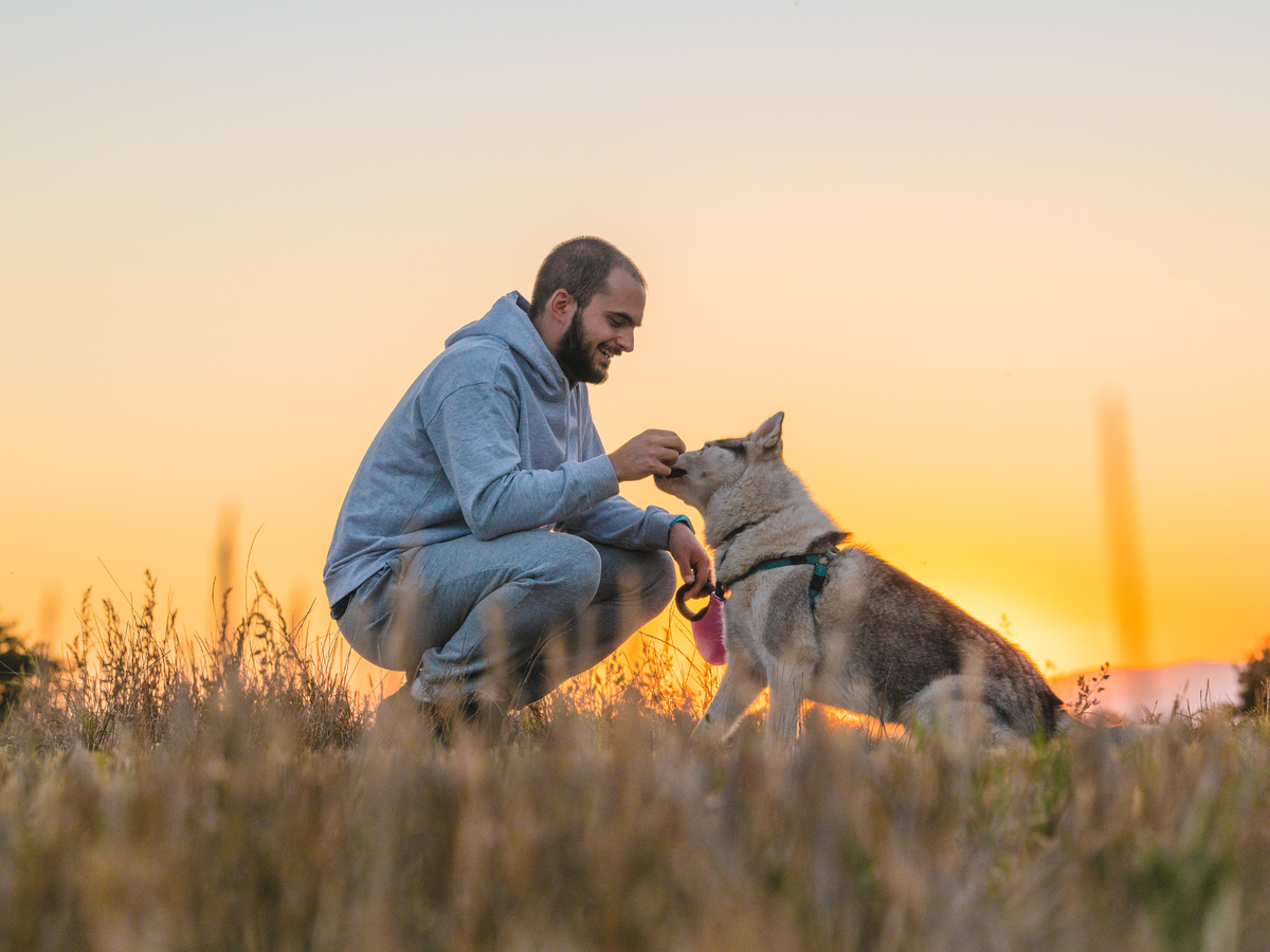 What A Balanced Lifestyle Looks Like For Modern Pets