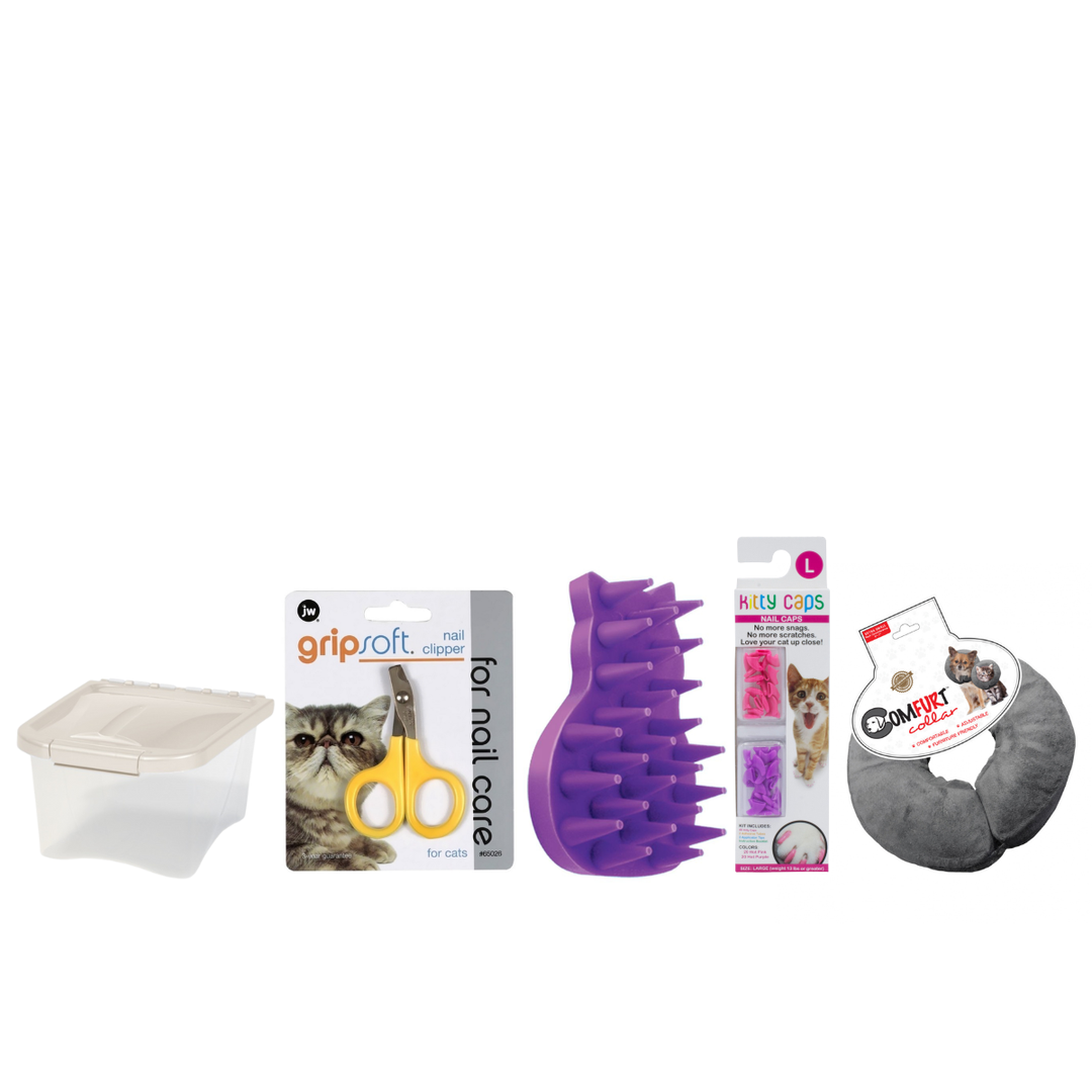 Cat Accessories