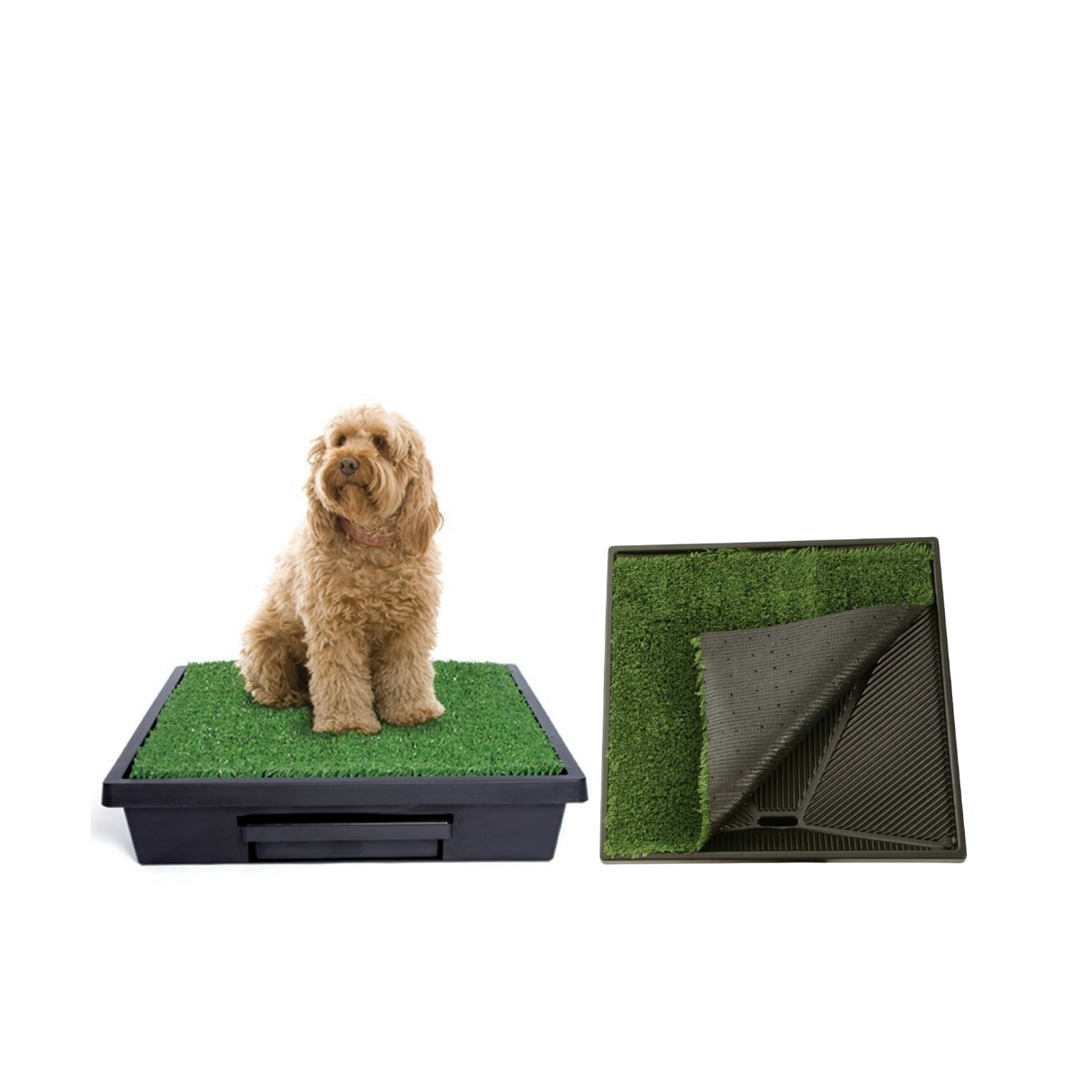 Dog Cleaning & Potty