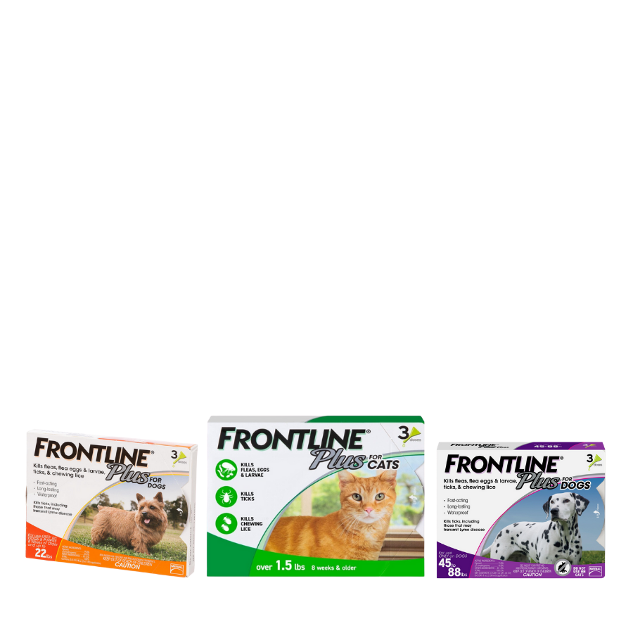 Frontline