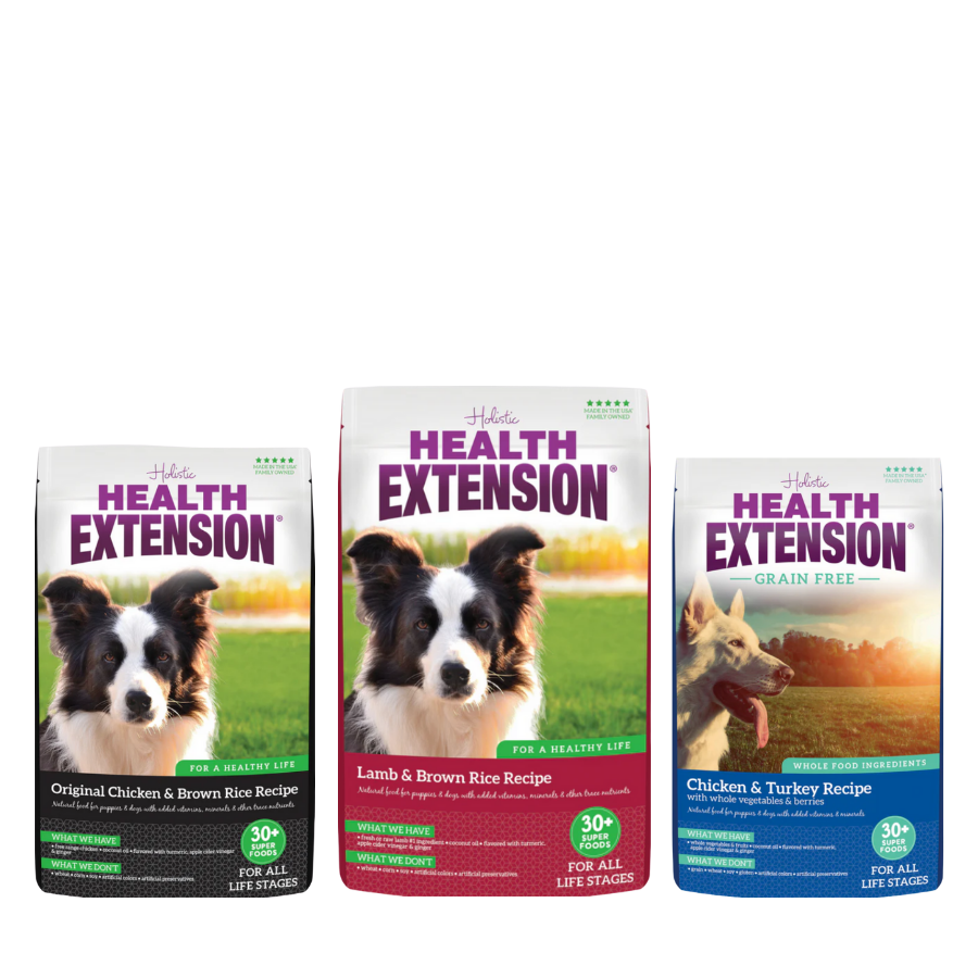 Health Extension