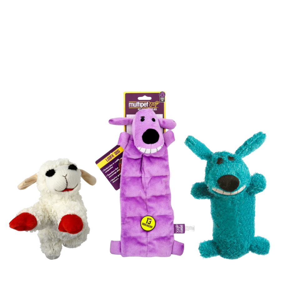 MultiPet