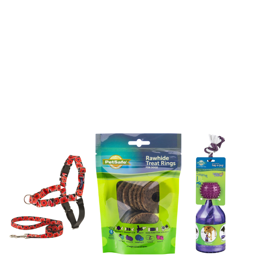 PetSafe