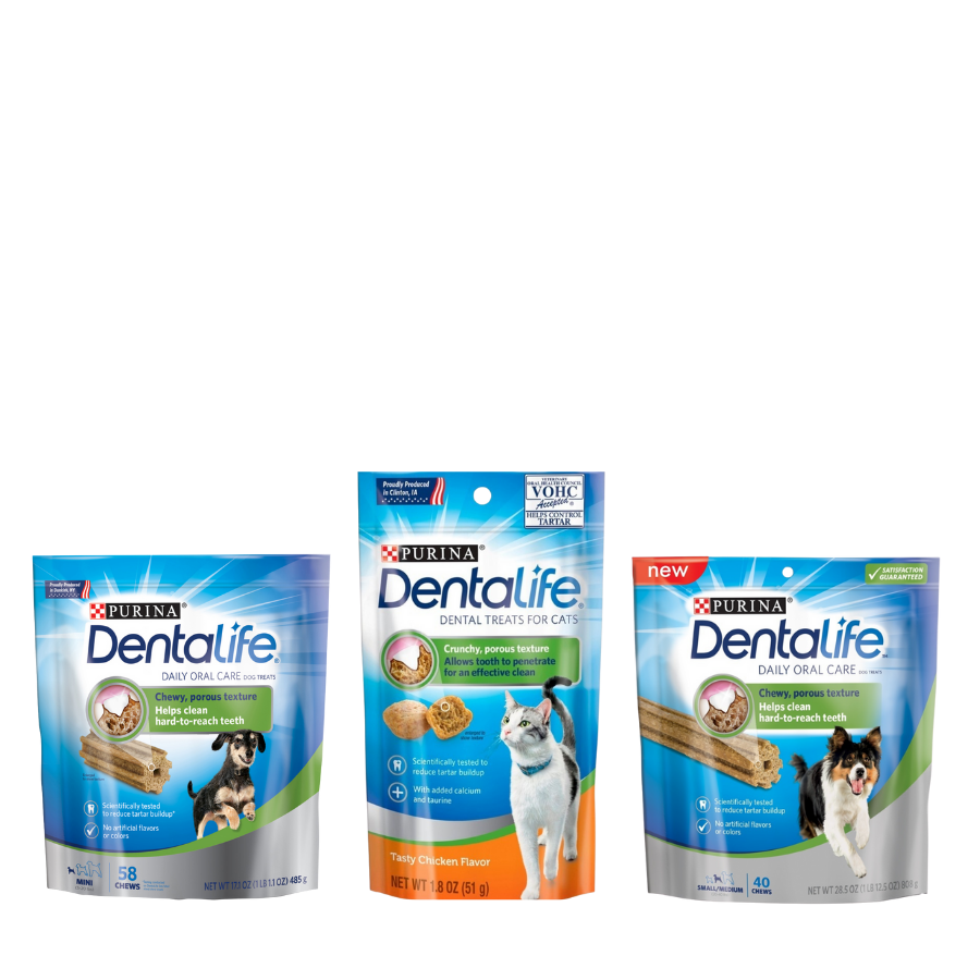 Purina Dentalife
