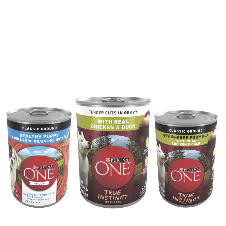 Purina ONE
