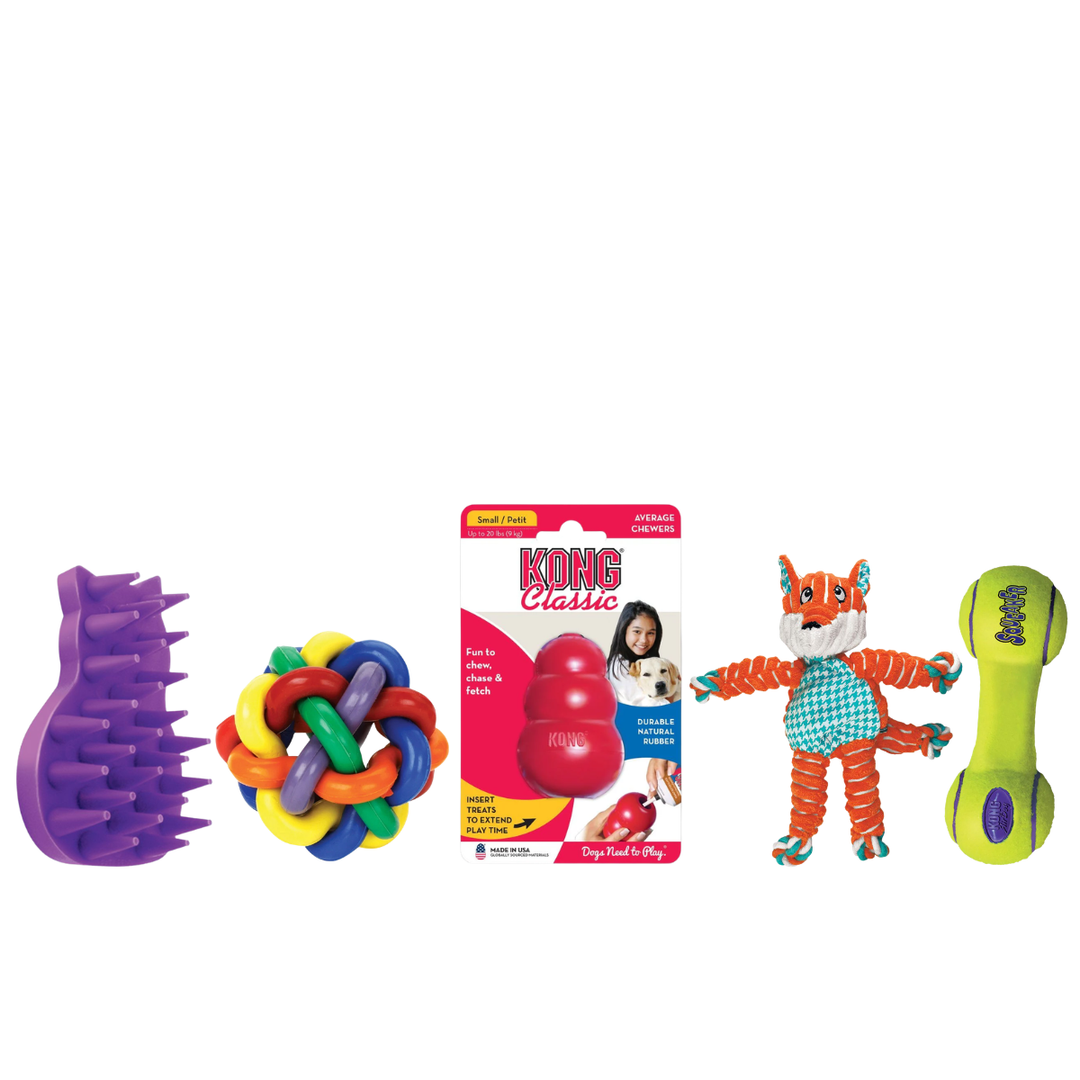 Toys & Accessories
