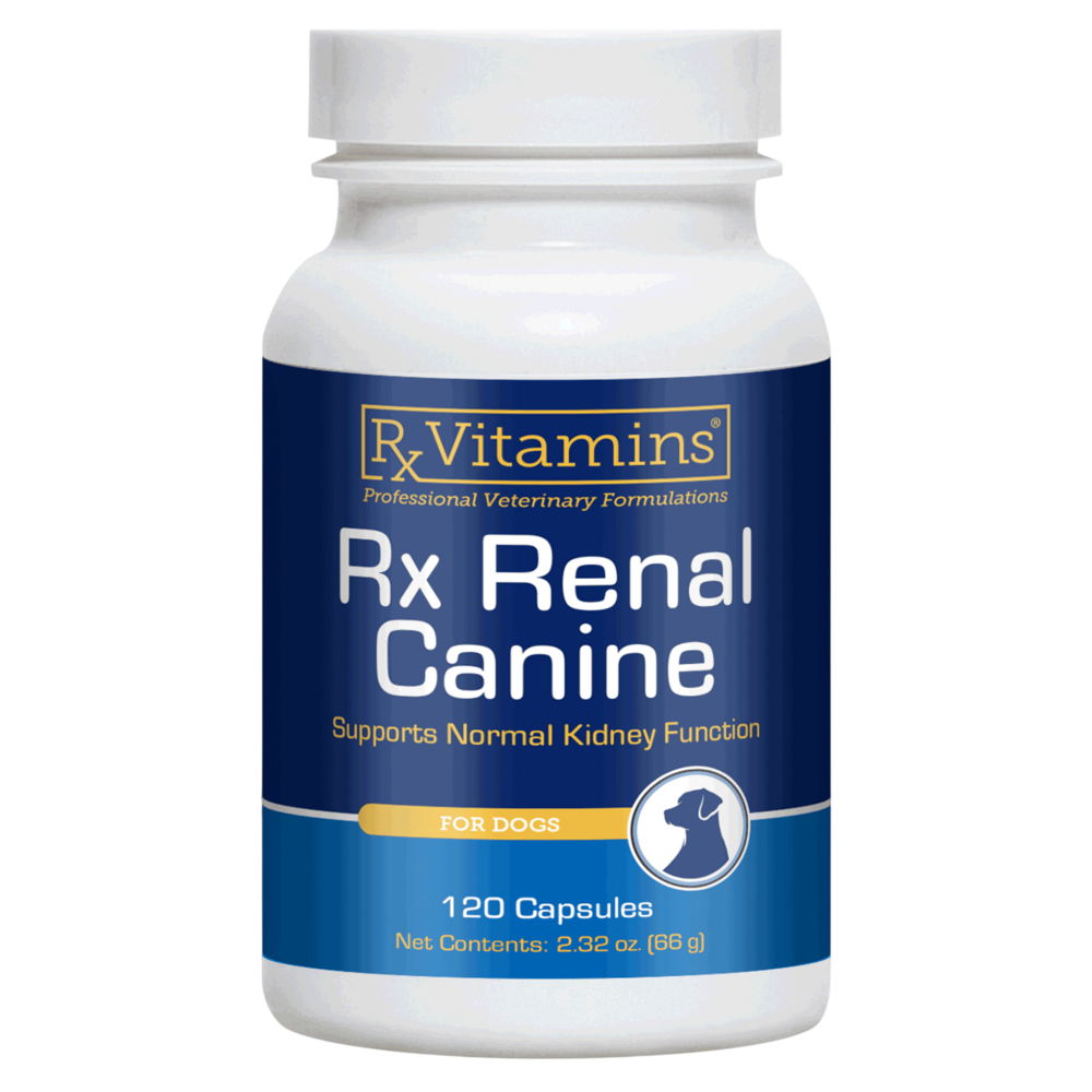 Rx Renal Canine  Curated Wellness