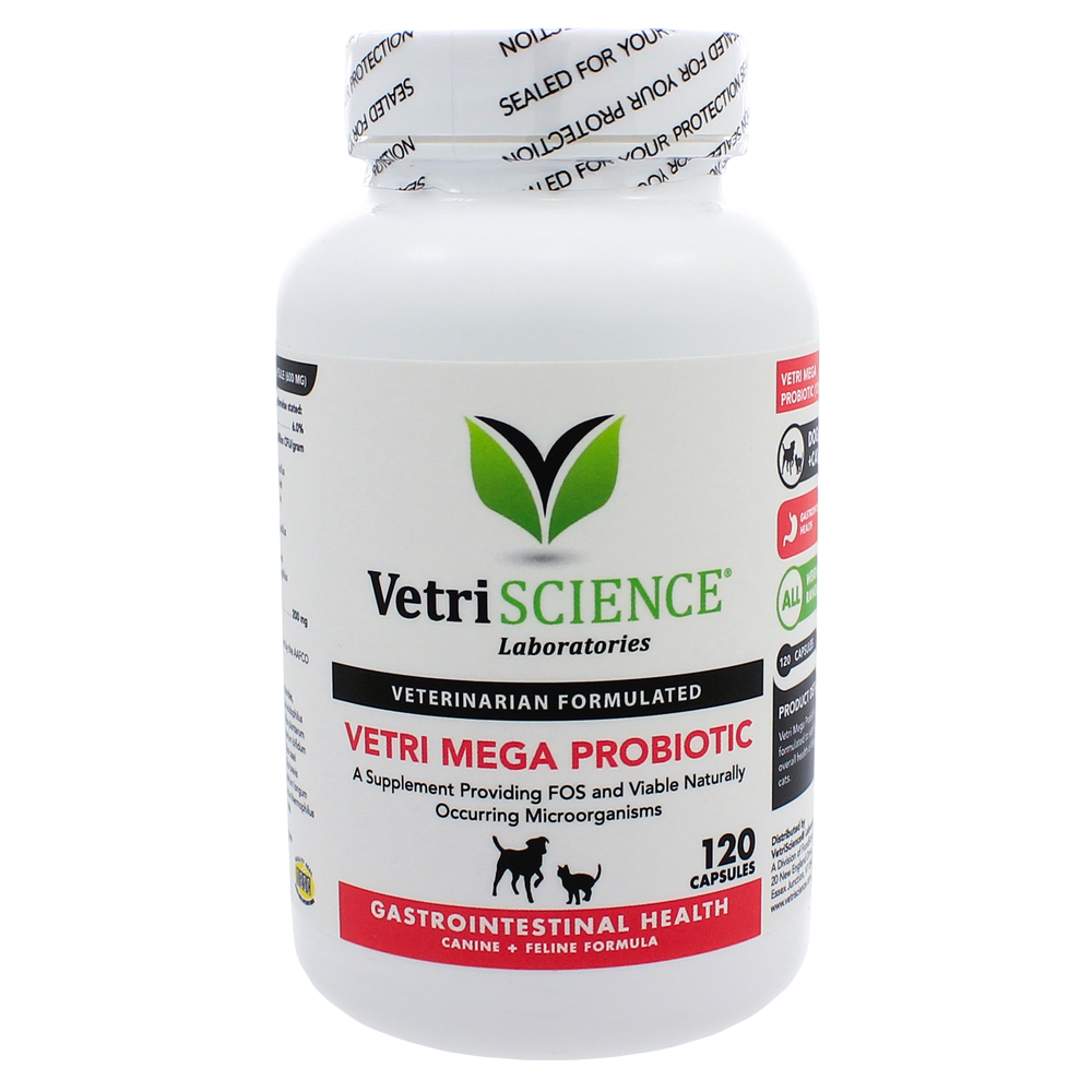 Vetri Mega Probiotic  Curated Wellness