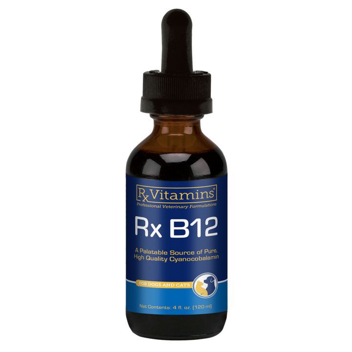 Rx B12 4 fl oz Curated Wellness