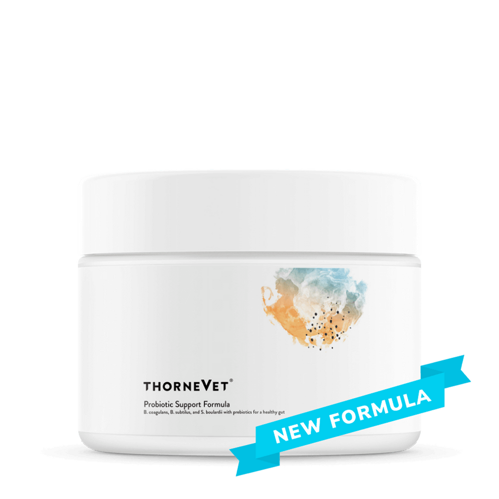 Probiotic Support Formula 60 chews Curated Wellness