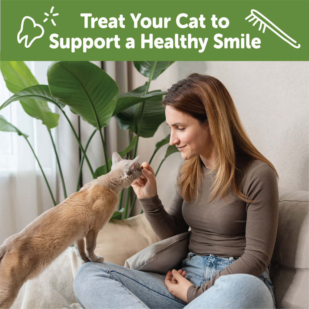 Whimzees Cat Dental Chicken & Salmon Flavor