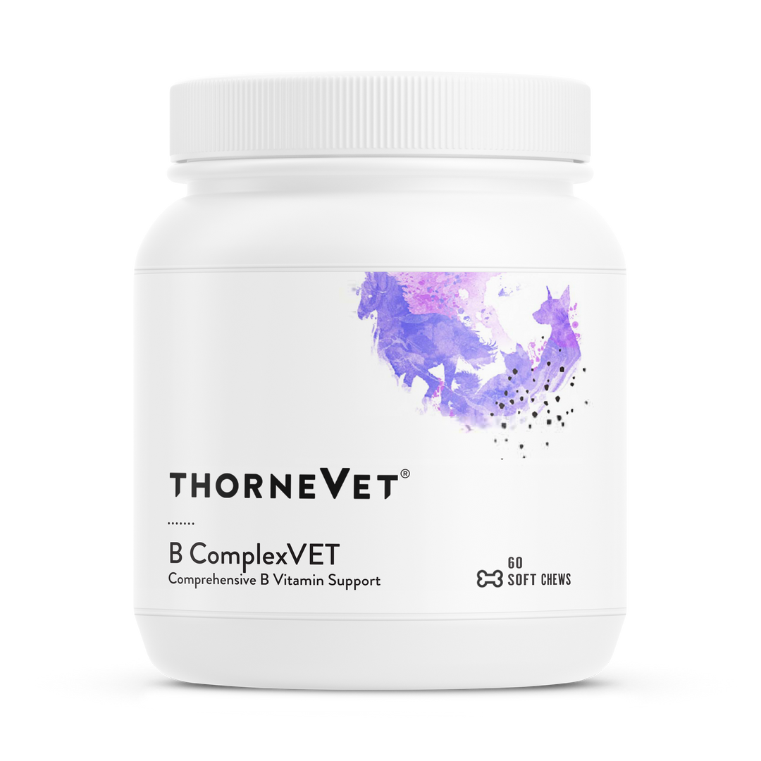 B ComplexVET 60 chews Curated Wellness