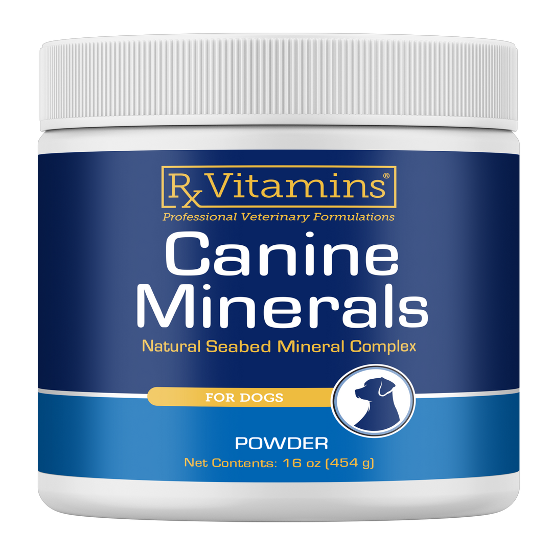 Canine Minerals Powder 454 g Curated Wellness