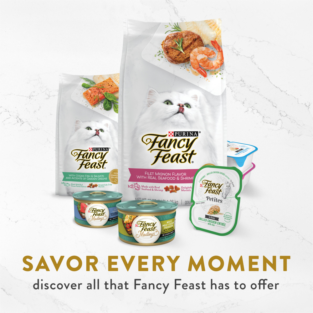 Fancy Feast Creamy Broths Wild Salmon & Whitefish Wet Cat Food