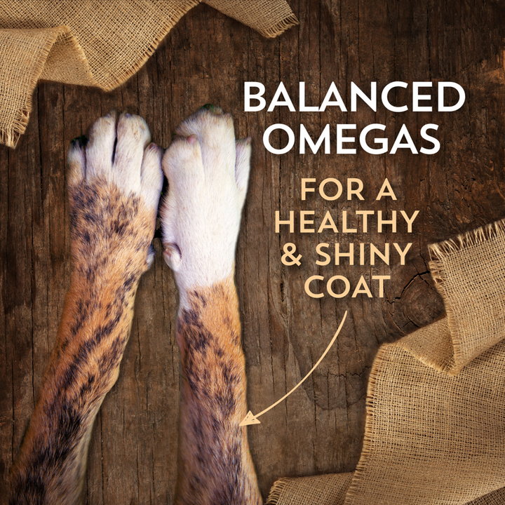 Wholesomes Grain Free Beef Meal & Potatoes Recipe Dry Dog Food