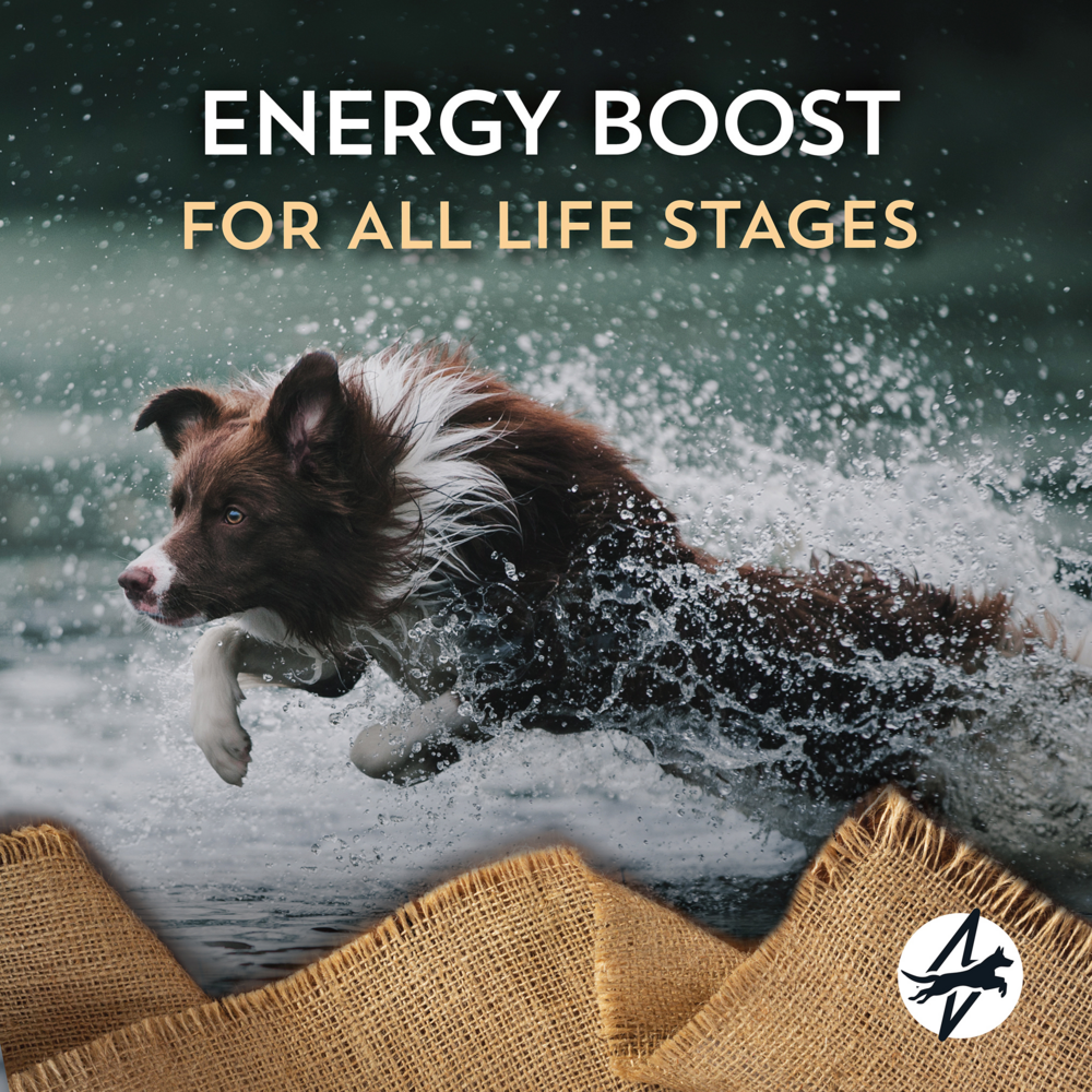 Wholesomes Energy Plus Dry Dog