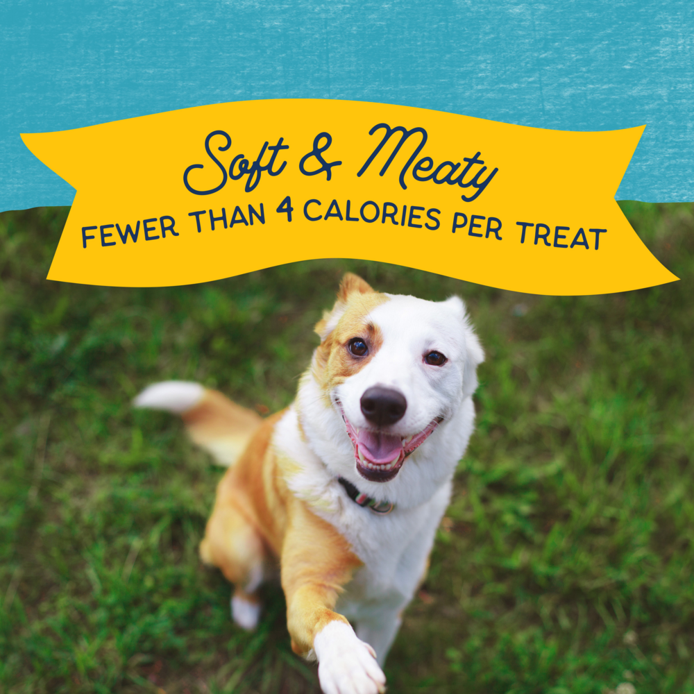 Natural Balance Rewards Minis Dog Treats with Real Turkey