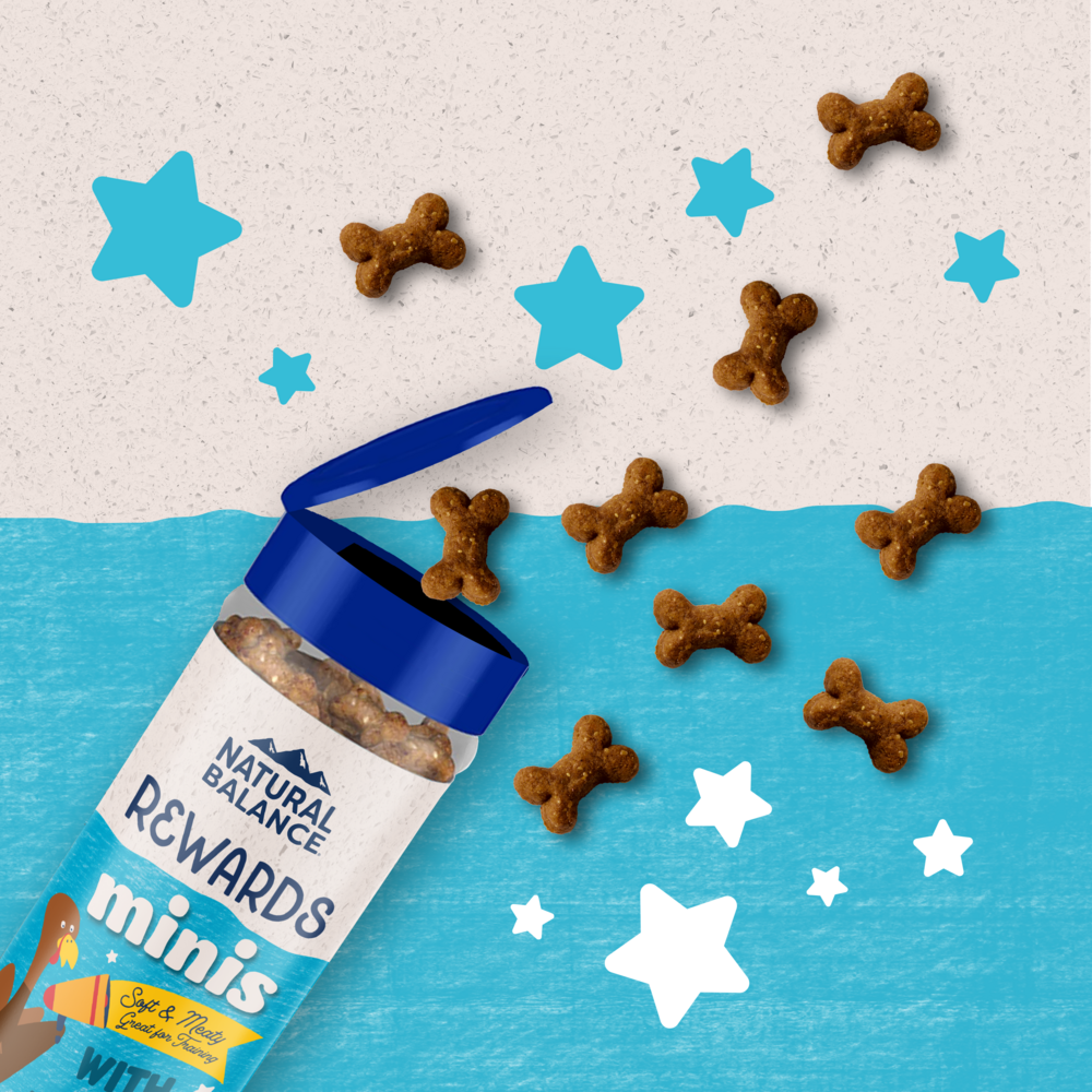 Natural Balance Rewards Minis Dog Treats with Real Turkey