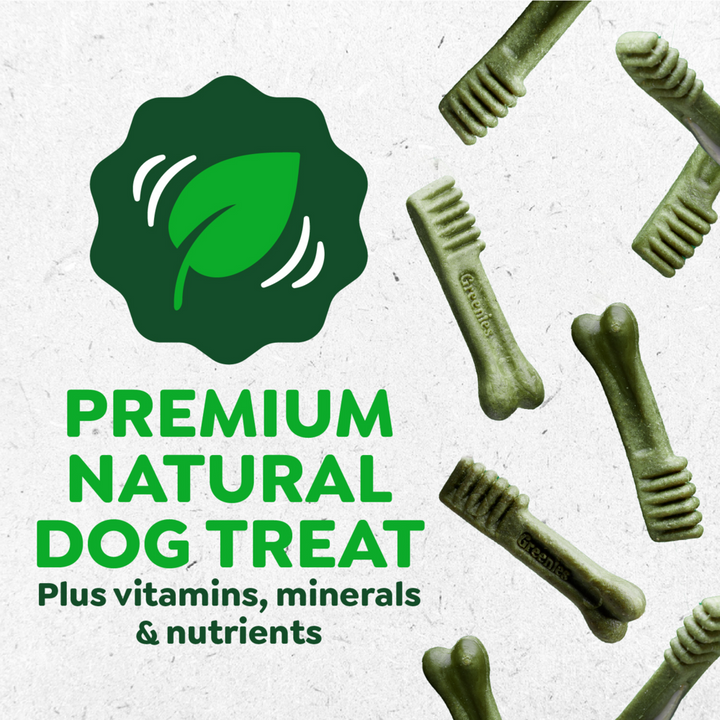 Greenies Large Mint Dental Dog Chews