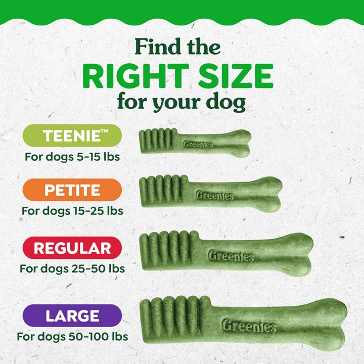 Greenies Large Mint Dental Dog Chews