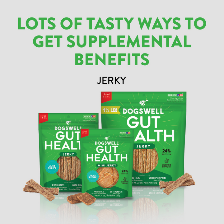 Dogswell Gut Health Jerky Lamb Dog Treats