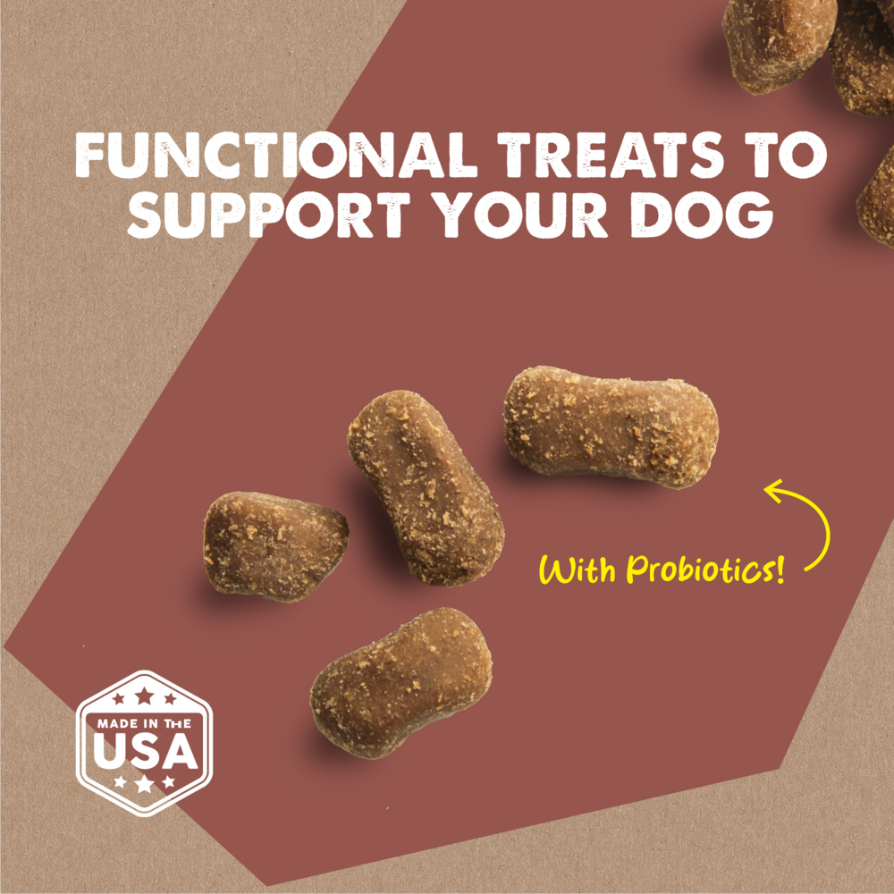 Cloud Star Dynamo Dog Tummy Soft Chews Grain Free Pumpkin & Ginger Dog Treats