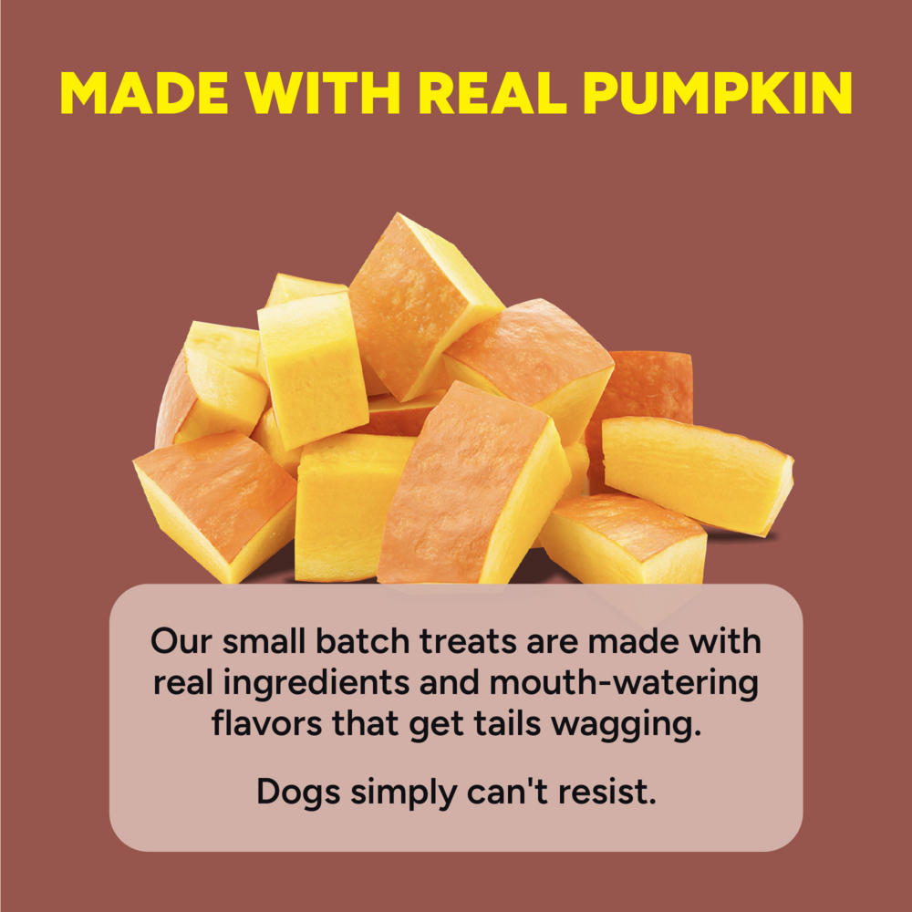 Cloud Star Dynamo Dog Tummy Soft Chews Grain Free Pumpkin & Ginger Dog Treats