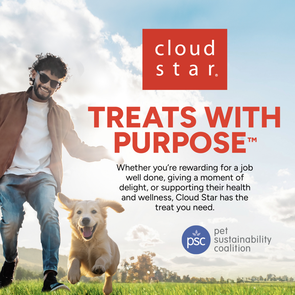 Cloud Star Dynamo Dog Tummy Soft Chews Grain Free Pumpkin & Ginger Dog Treats