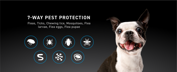 Nextstar Flea & Tick for Small Dogs