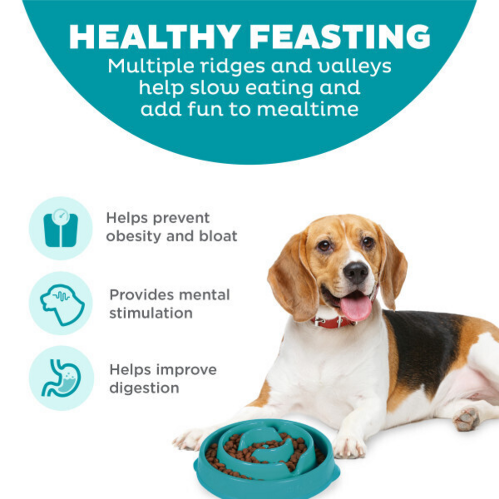 Outward Hound Fun Feeder Turquoise Drop Dog Bowl