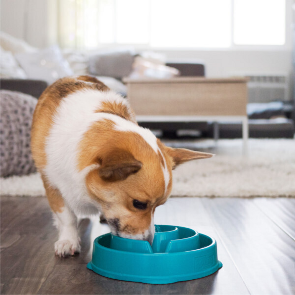 Outward Hound Fun Feeder Turquoise Drop Dog Bowl