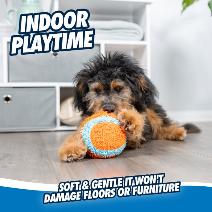 Chuckit! Indoor Ball Dog Toy