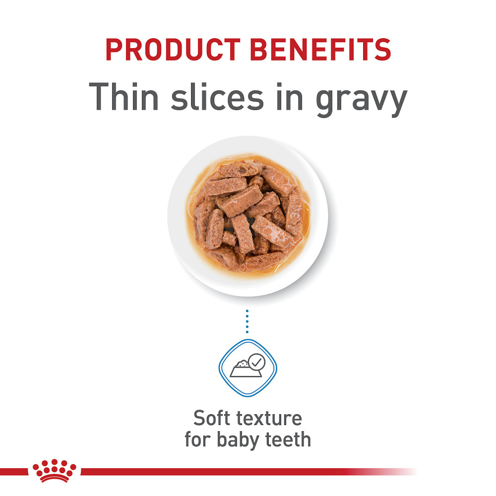 Royal Canin Size Health Nutrition Large Puppy Thin Slices in Gravy Wet Dog Food