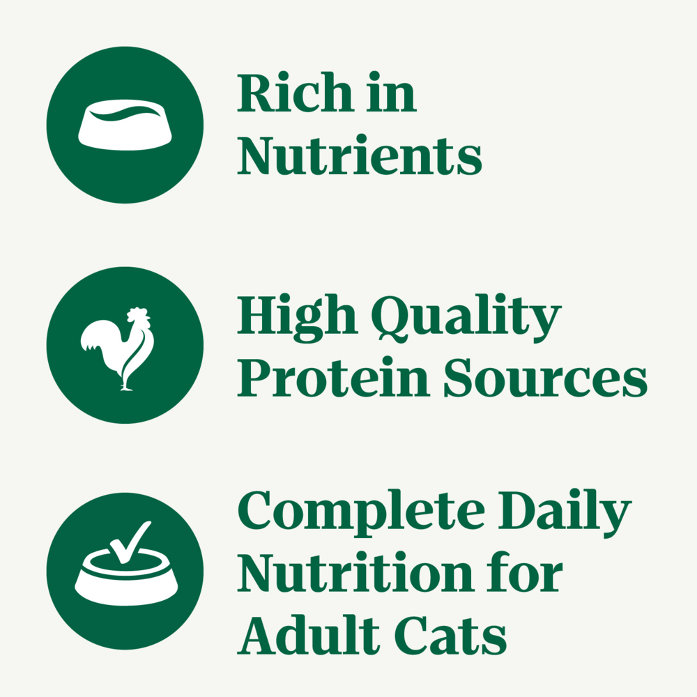 Nutro Perfect Portions Grain Free Cuts In Gravy Real Beef Recipe Wet Cat Food Trays