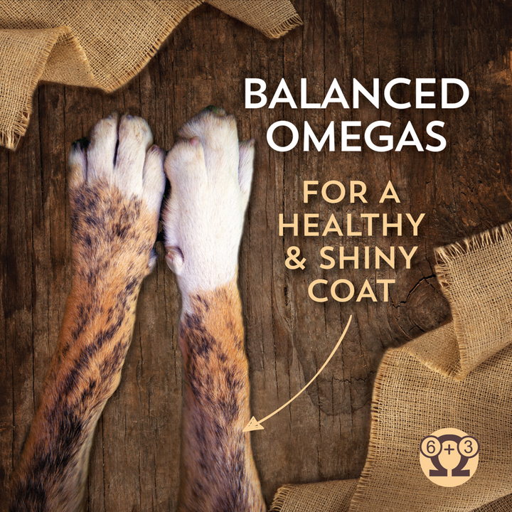 Wholesomes Chicken Meal & Rice Recipe Dry Dog Food