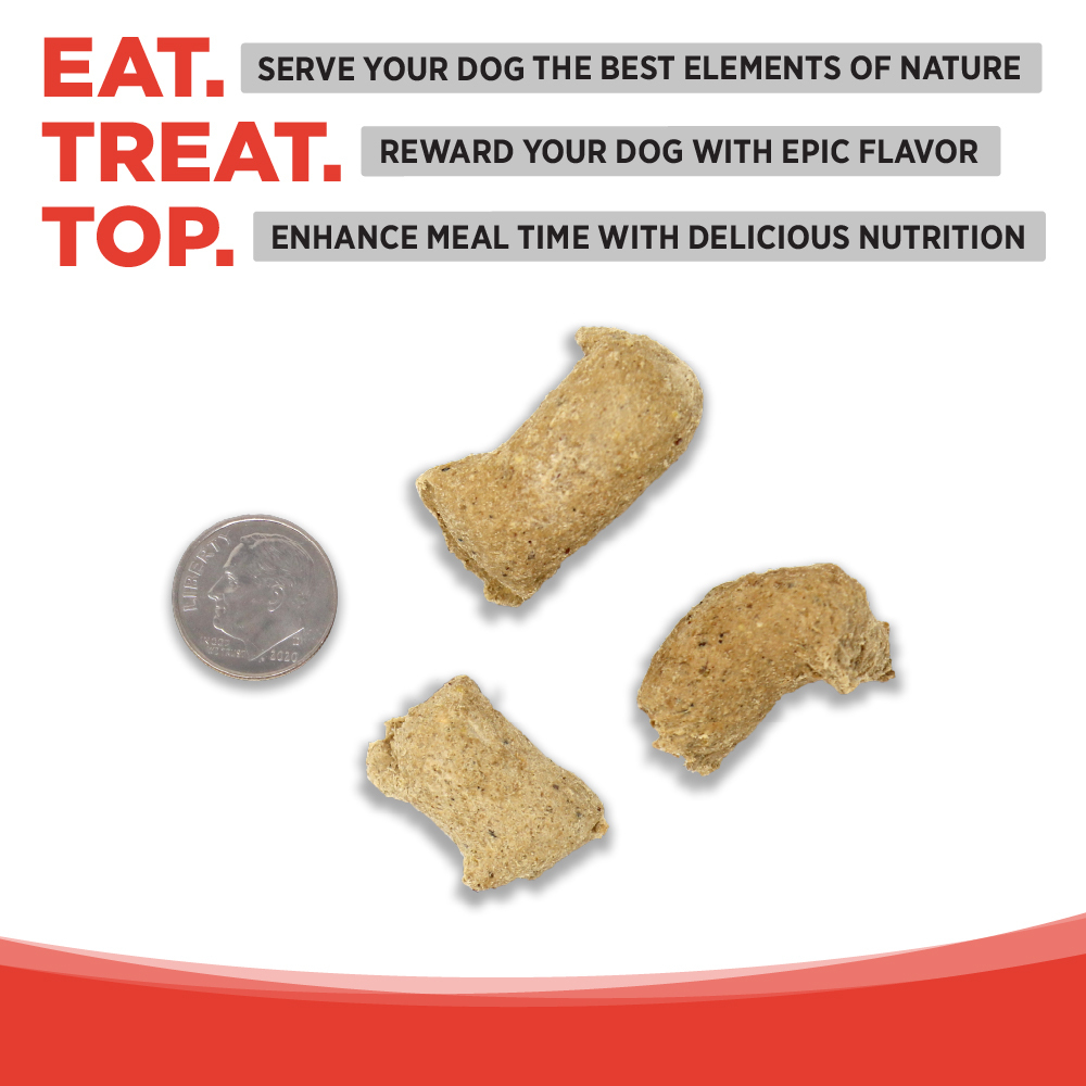 NutriSource Element Series Freeze Dried Raw Bites Beef and Lamb Recipe