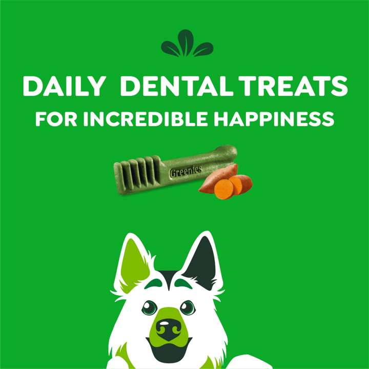 Greenies Dental Bone Sweet Potato Large