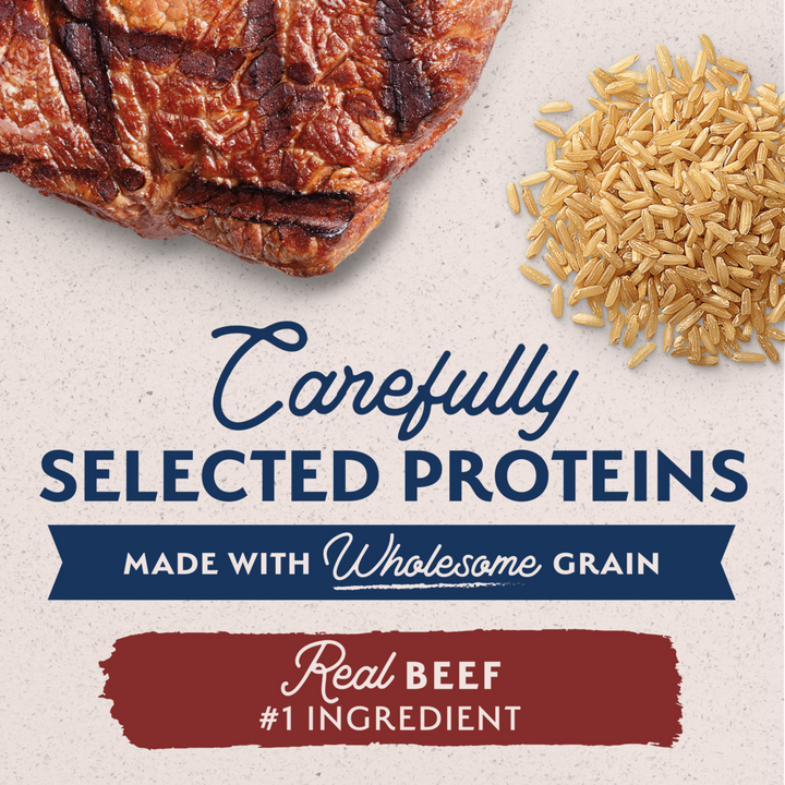 Natural Balance Limited Ingredient Wet Dog Food, Beef & Brown Rice Recipe