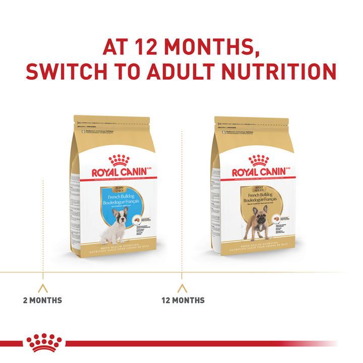 Royal Canin Breed Health Nutrition French Bulldog Puppy Dry Food