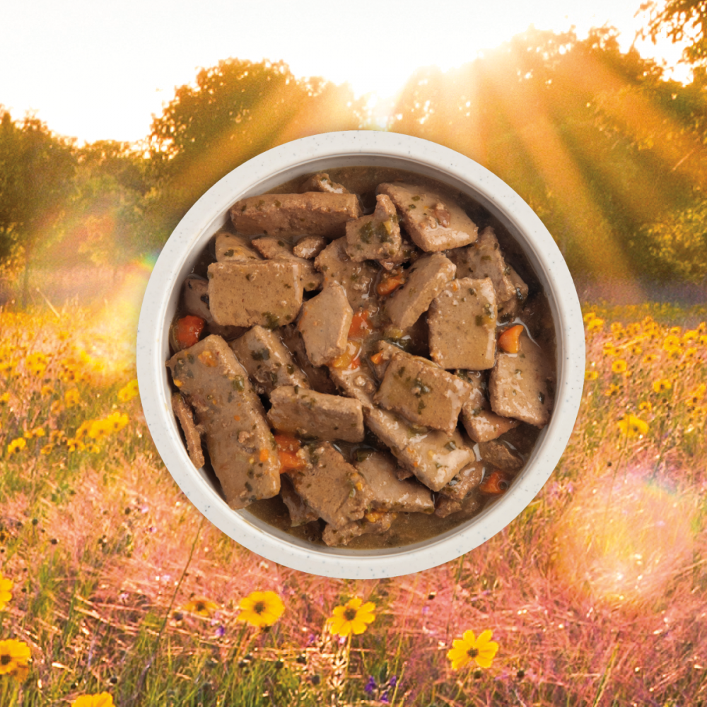 ACANA Premium Chunks Grainfree Beef Recipe in Bone Broth Wet Dog Food