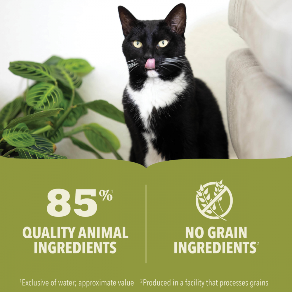 ACANA Premium Chunks Grainfree Beef Recipe in Bone Broth Wet Dog Food