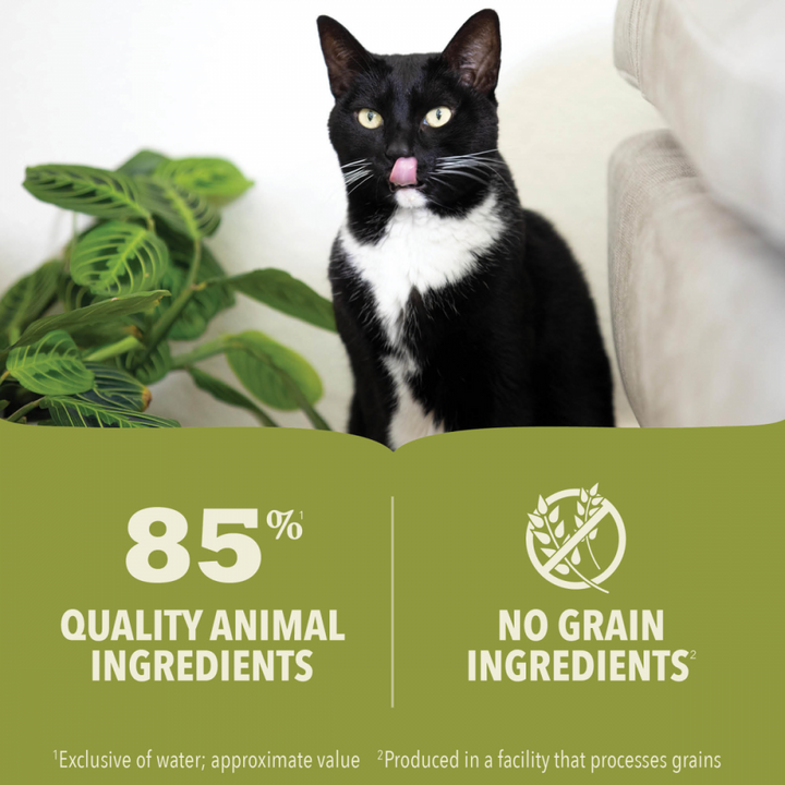 ACANA Premium Chunks Grainfree Beef Recipe in Bone Broth Wet Dog Food