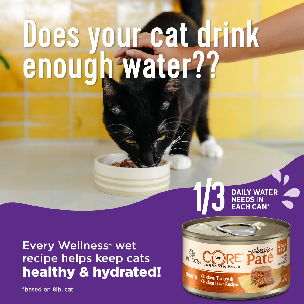 Wellness CORE  Healthy Weight Chicken & Tuna Pate