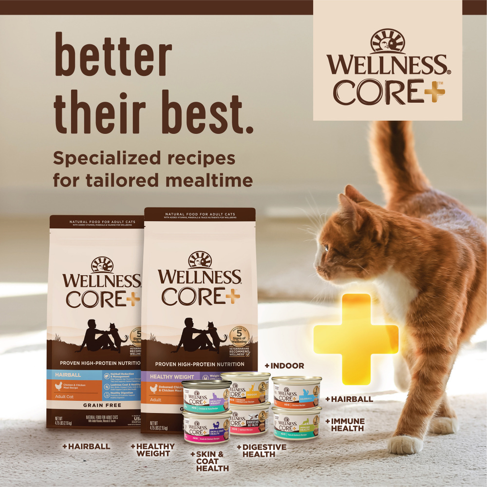 Wellness CORE  Immune Health Chicken & Turkey Pate