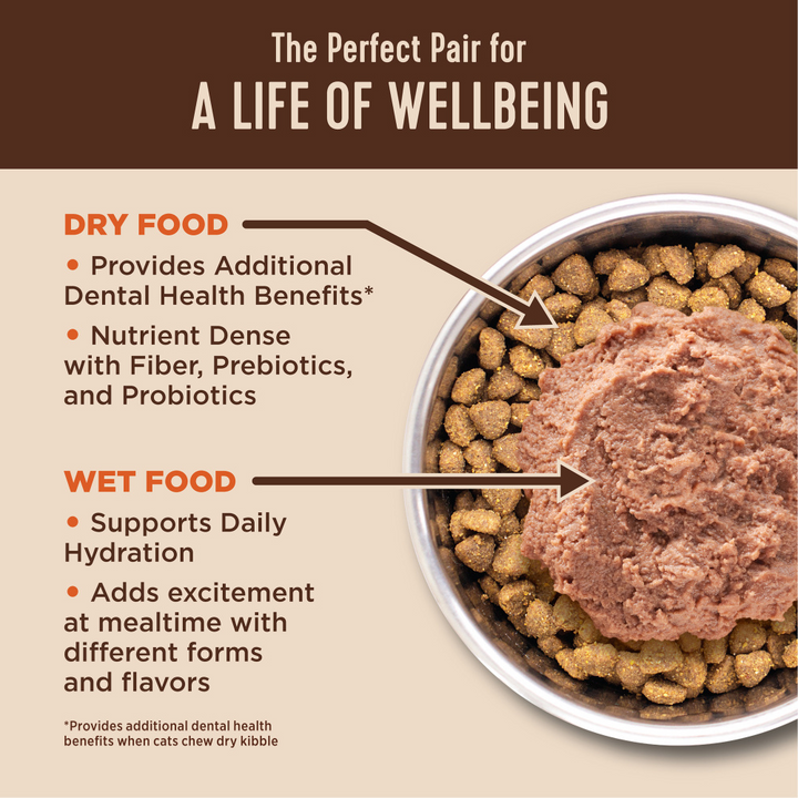 Wellness CORE  Skin & Coat Duck & Chicken Pate