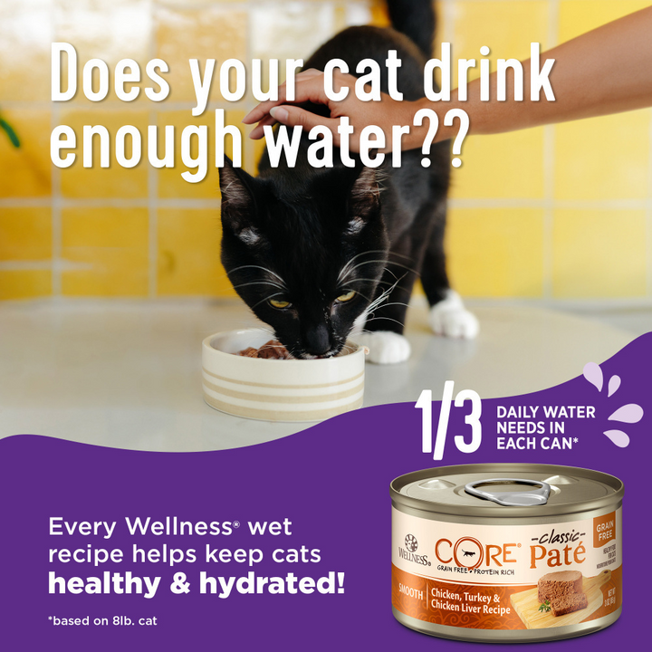 Wellness CORE  Skin & Coat Duck & Chicken Pate
