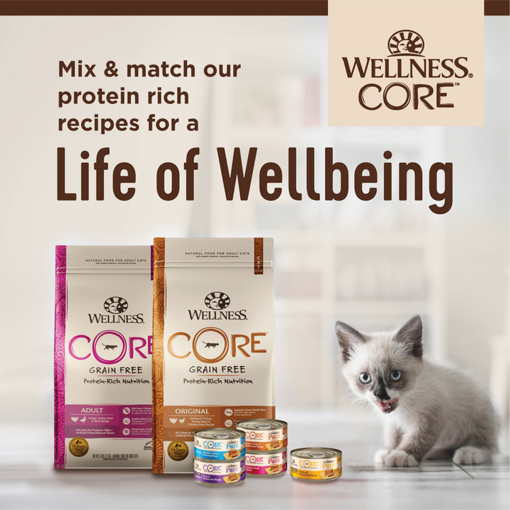 Wellness CORE Kitten Chicken & Salmon Pate