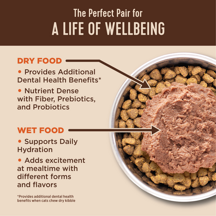 Wellness CORE  Healthy Weight Grain Free Adult Dry Cat Food Chicken & Chicken Meal Recipe